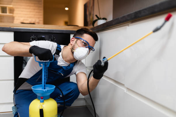 Pest Control for Restaurants in Celina, OH