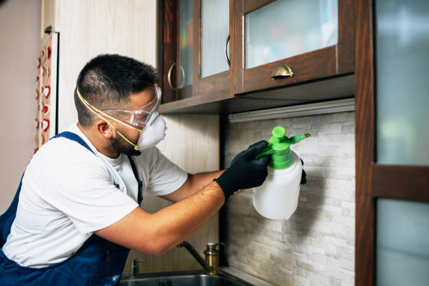 Best Termite Control Services  in Celina, OH