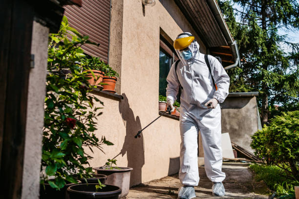Best Affordable Pest Control Services  in Celina, OH