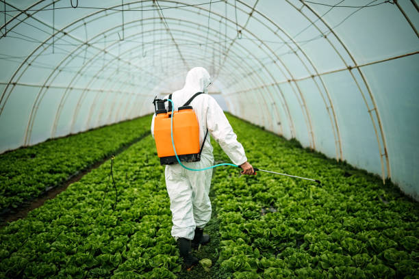 Best Mosquito Control Services  in Celina, OH