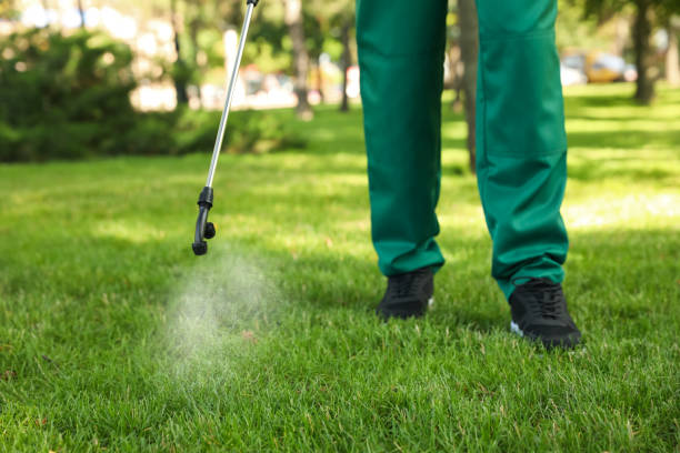 Professional Pest Control in Celina, OH