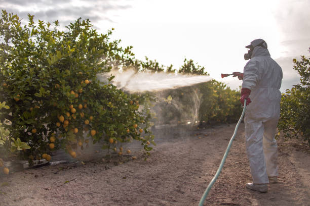 Pest Control Cost in Celina, OH