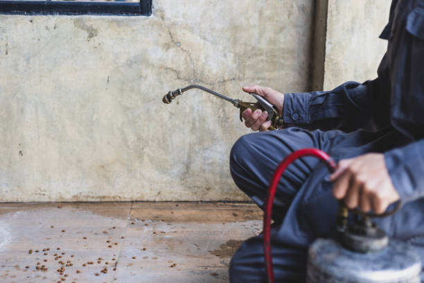 Best Flea Control Services  in Celina, OH